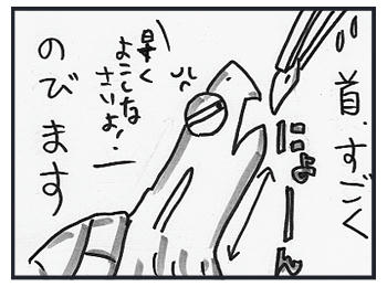 110802b.jpg