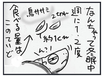 020205a.jpg