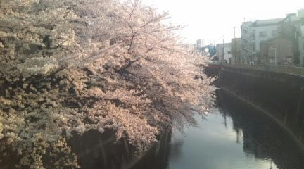 090405_1720~01.jpg