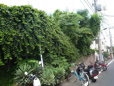 P1070358.jpg