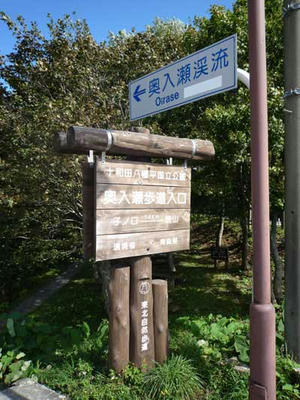 P1070830.jpg