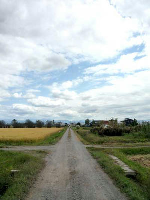 P1080040.jpg