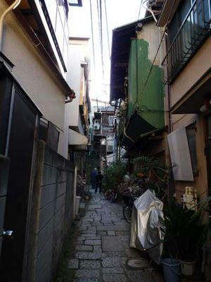 P1080490.jpg