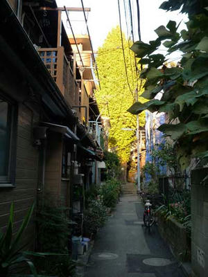 P1080518.jpg