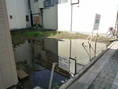 P1080566.jpg
