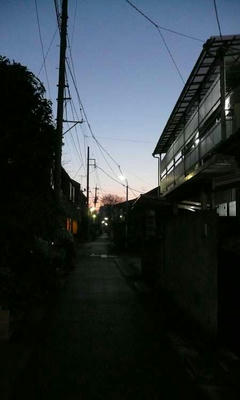 P1020319.jpg