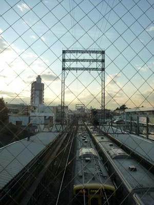 P1080569.jpg
