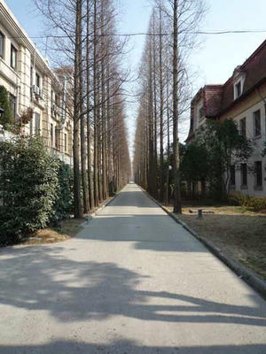 P1090810.jpg