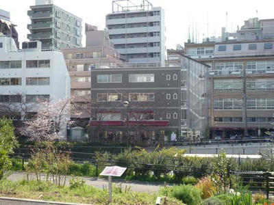 P1110078.jpg