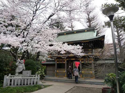 P1110089.jpg