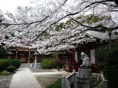 P1110090.jpg