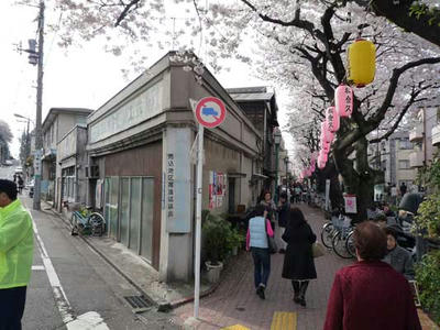 P1110096.jpg