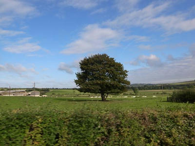 R0011183.JPG