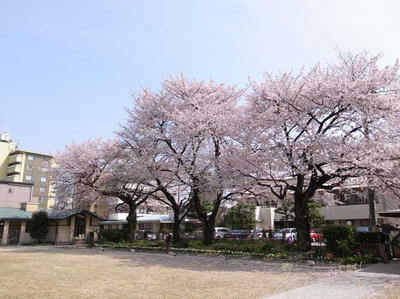 RIMG0021.JPG