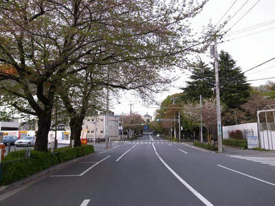 R0016529.JPG
