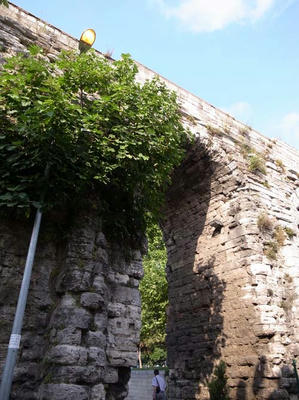 R0022319.jpg