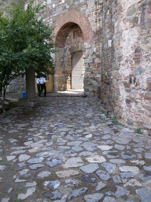 R0022717.jpg