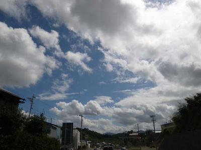 R0023629.jpg
