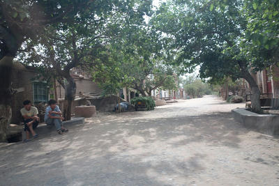DSC00644.jpg