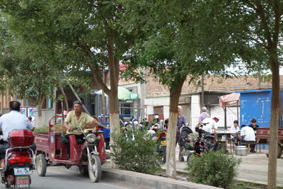DSC00689.jpg