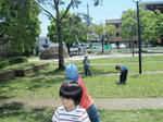 P5150834_2.jpg