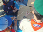 PB231429_2.jpg