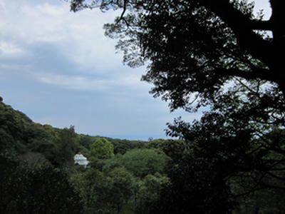 100423oshima7.jpg