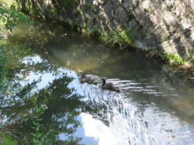 100717kyoto_7.jpg