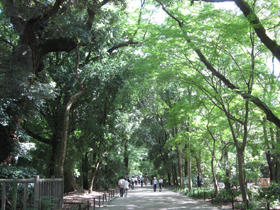 100717kyoto_5.jpg