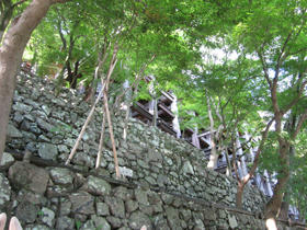 100718kyoto_5-5.jpg