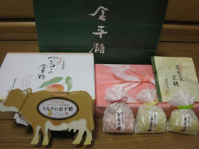 100718kyoto_8.jpg