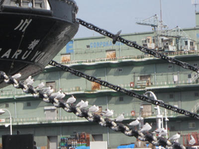 20110417yokohama_5.jpg