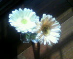 2010032015320000.jpg