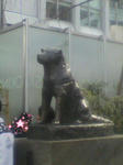 2010032114480000.jpg