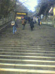 2012012211350000.jpg