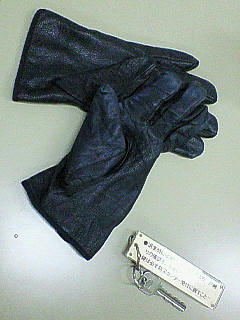 NEC_0037.JPG