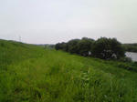 NEC_0038.JPG