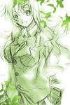 midori.jpg