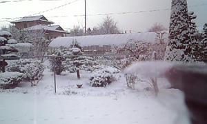 100101_092531.jpg