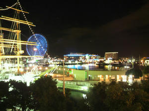 P1020129.jpg