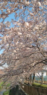 20110405142320.jpg