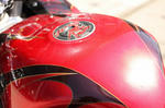 IMG_5515.jpg