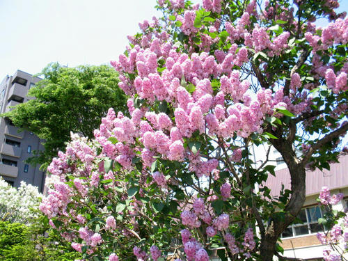 IMG_5960_edited.jpg