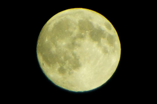 IMGP0825.jpg