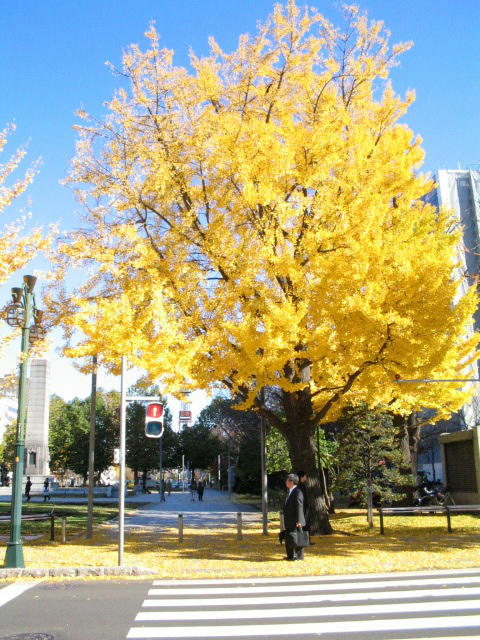 IMG_4116_edited.jpg