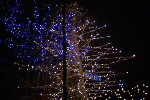 IMGP0973s.jpg