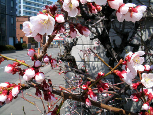 IMG_6867_edited.jpg