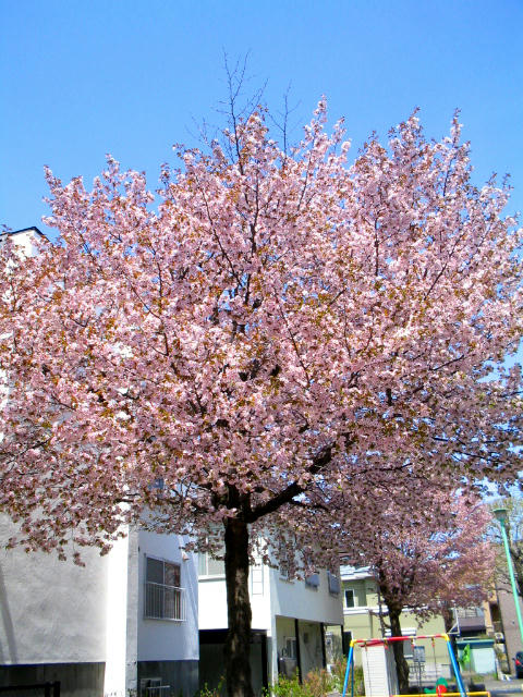 IMG_6871_edited.jpg