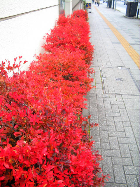 IMG_7119_edited.jpg