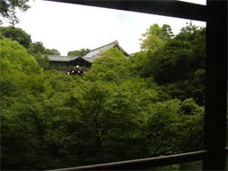 P1020269.jpg